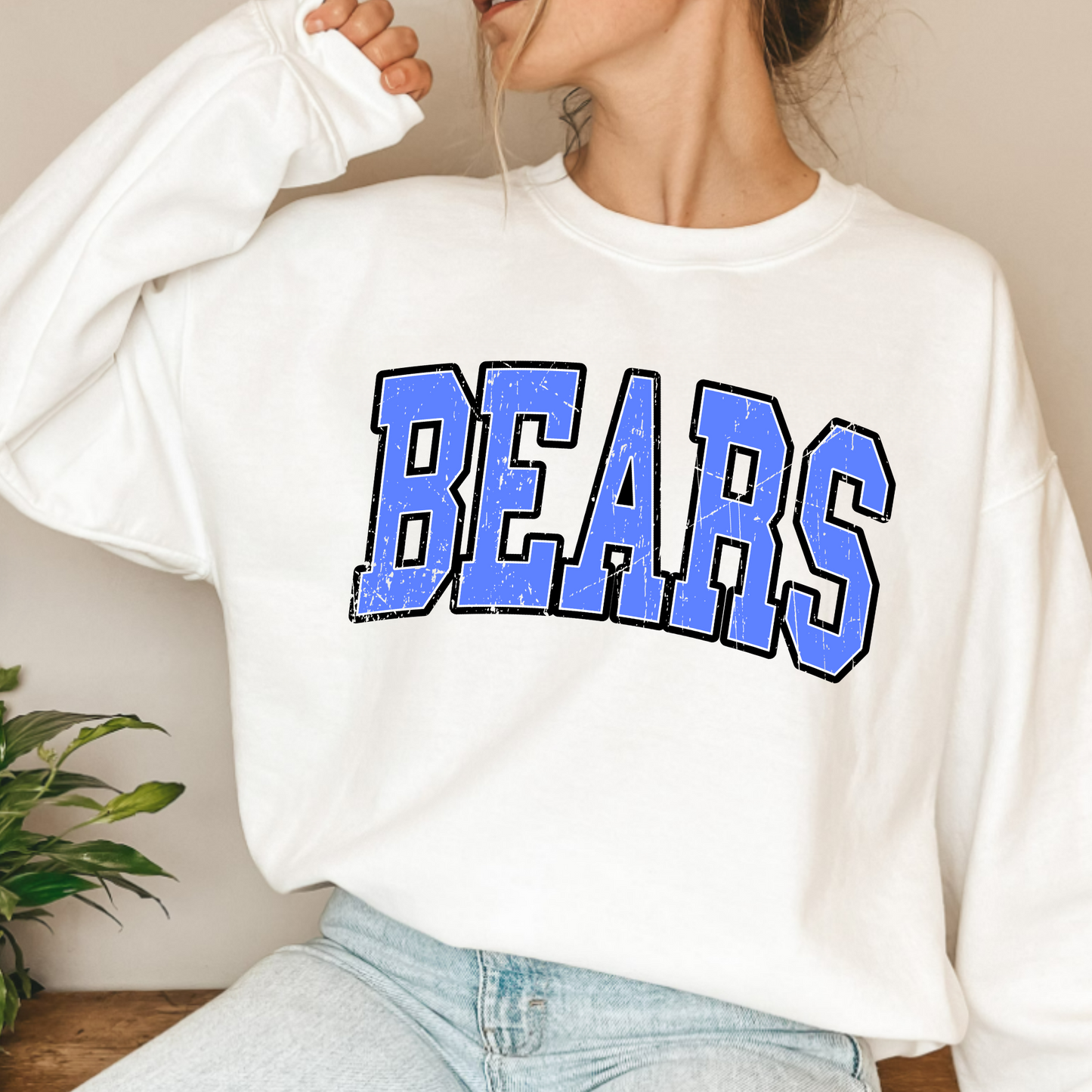 (shirt not included) BEARS Transfer - DTF ( COLD PEEL)