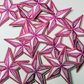 2" Pink & White Star - Embroidered Hat Patch