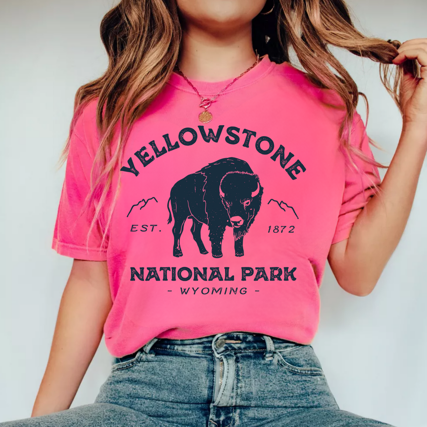 (shirt not included) Yellowstone National Park  - Screen print Transfer