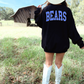 (shirt not included) BEARS Transfer - DTF  ( COLD PEEL)